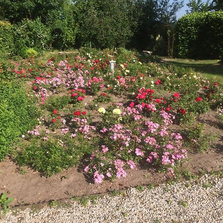 Hoeve Het Verre Einder Heythuysen ภายนอก รูปภาพ